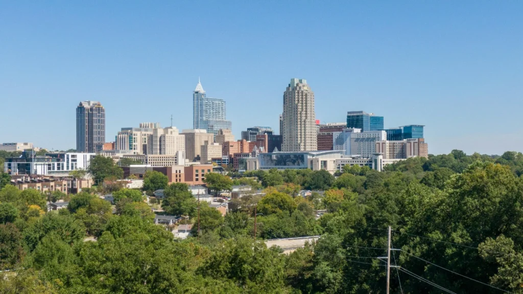 houses for sale in Raleigh NC neighborhood view